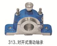 313_(ki)ʽ(dng)S